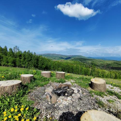 Nabij attractie, Casa Ponors Eden in Valea Manastirii