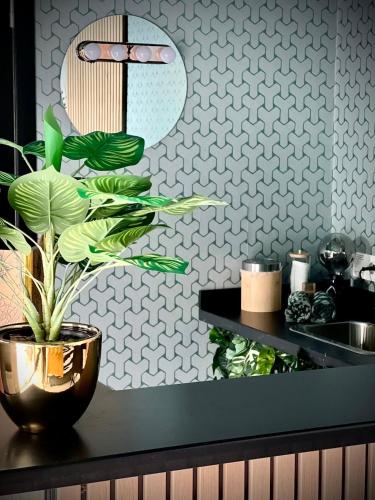 Pool House 85 in Spa