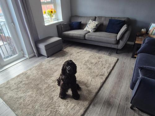 Flat on the Wear in Washington