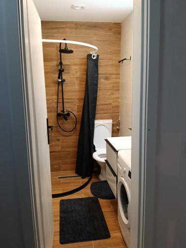 卫浴间, Spital 1 camera in 特尔古穆列什