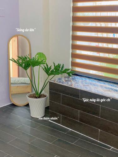 芹苴 Khe Homestay 酒店 泳池