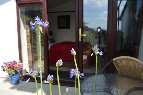 Smithfield Farm Bed & Breakfast - image 10