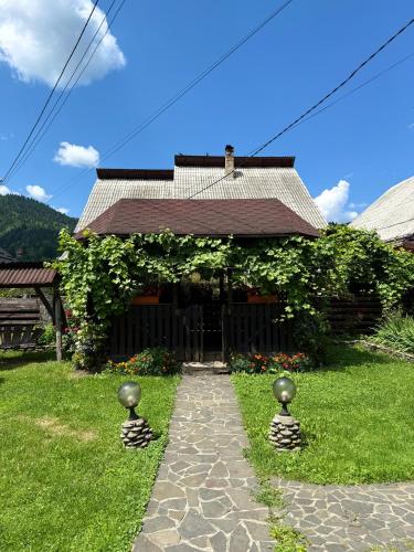 Dor de munte, Borşa (photo 10)