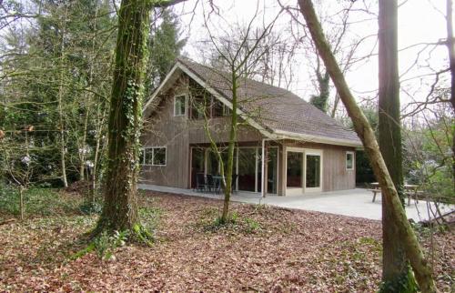 Spacious Forest Retreat with Wellness in Drenthe
