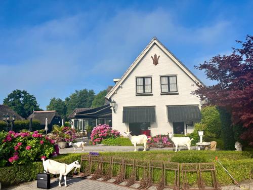 Port of Giethoorn in Overig Giethoorn-Noord