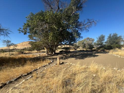 נוף, Tsauchab River Camp Campsite in ססריאם