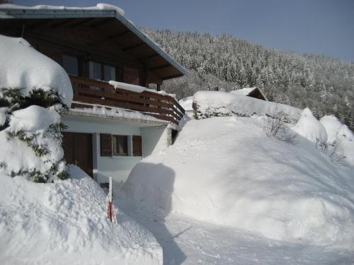 Chalet Les Jonquilles