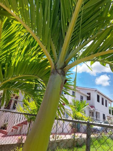 Tropical Apartment with private patio, Walk to Beaches, Shops and Cafes in ספייסטאון