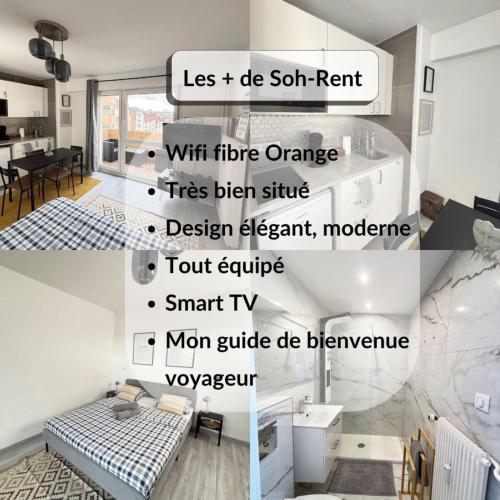 Soh Rent Strasbourg Wifi Terrasse St Aloise, Strasbourg (photo 4)