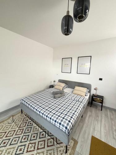 Soh Rent Strasbourg Wifi Terrasse St Aloise, Strasbourg (photo 8)