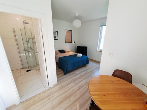 Cozy Studio - 5 min to Lake & City, Aluksne (fotografie 5)