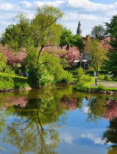 Kleinod am Kurpark - Apartment - Bad Zwesten