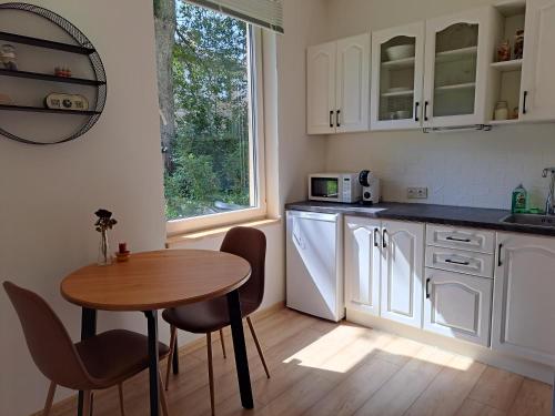 Cozy Studio - 5 min to Lake & City, Aluksne (fotografie 4)