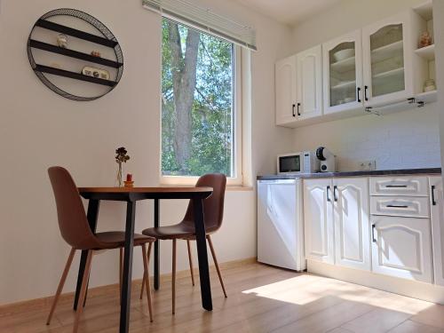 Cozy Studio - 5 min to Lake & City, Aluksne (fotografie 8)