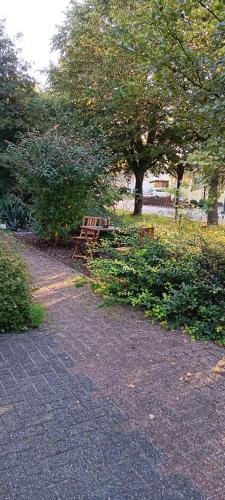 ทัศนียภาพภายนอกโรงแรม, Ferienappartment Schneiderbanger in บัด ไวล์ดุงเงน