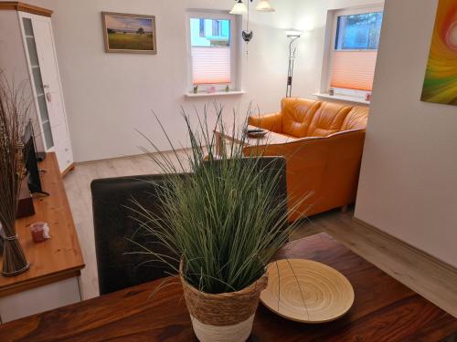 One-Bedroom House room in B1 Ferien-Bungalow Seewind Ostseebad Rerik