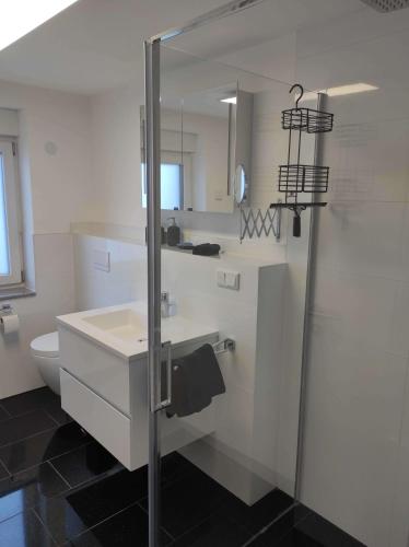 One-Bedroom Apartment with Shower image 6