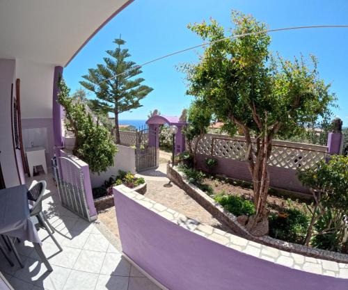 Casa Purple