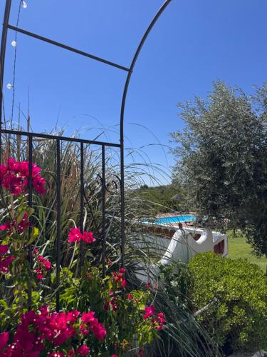 Herdade Da Maridona - Agroturismo
