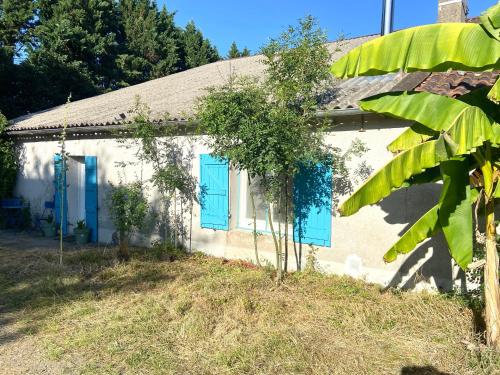 Tournesol in 阿斯塔福爾