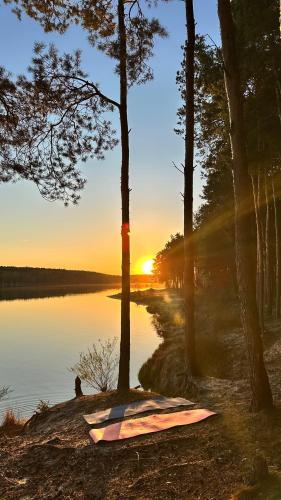 LEŚNY LUZ domek całoroczny w lesie nad jeziorem, duży taras, basen, boisko do siatkówki, kino plenerowe, ognisko i grill