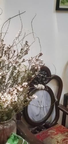 hostel near train street in Hoan Kiem District - Hang Bong/Quan Su