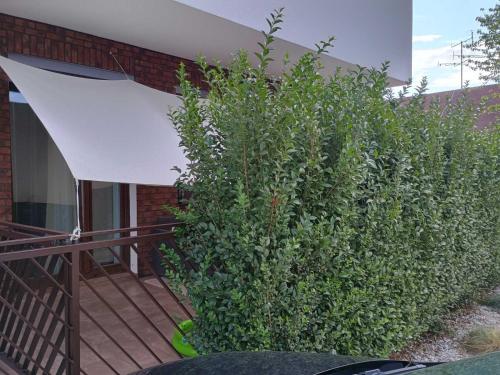 Maison de Veve in 奥雷奇奥瓦博顿