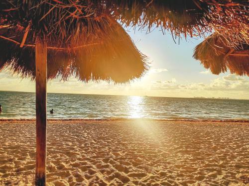 Beachfront DOME with Oceanview & Sunrise - Near Ferry, Cancún (foto 8)