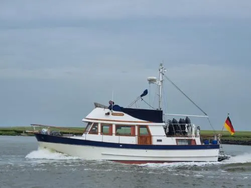 Seewolf in Cuxhaven, Deutschland