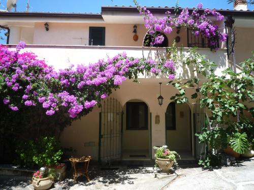  Villa Panthea in Capo Vaticano