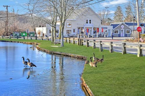 Seaside Stay: Waterfront with Views & Beach Access - image 5