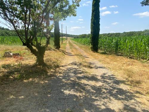 外部景觀, Tournesol in 阿斯塔福爾