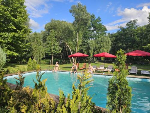 Úszómedence, Parcul Manga in Vulcana De Sus