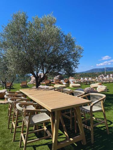 Villa con piscina, campo fútbol y pádel (Villa con piscina, campo futbol y padel) in Mas D'en Rieres