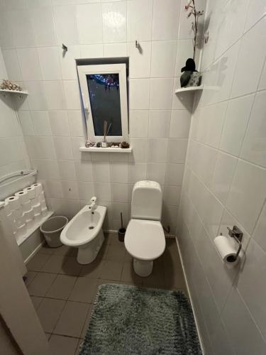 Palmi Villa, Tallin (foto 10)