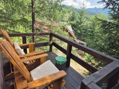 Art Apartments Minic in Kolasin