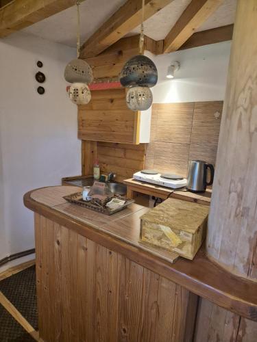 Art Apartments Minic in Kolasin