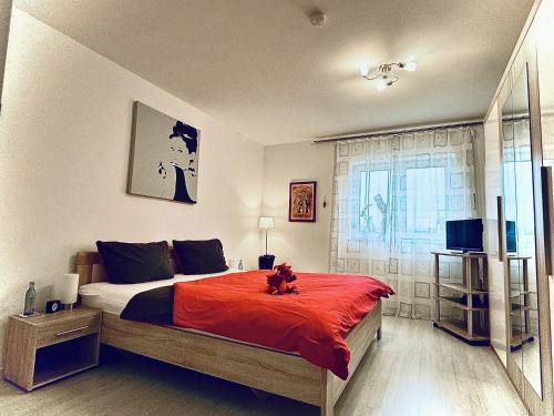 Ferienwohnung Drachenhaus WIR holen Sie aus dem Alltag raus in Rimbach (Odenwald)