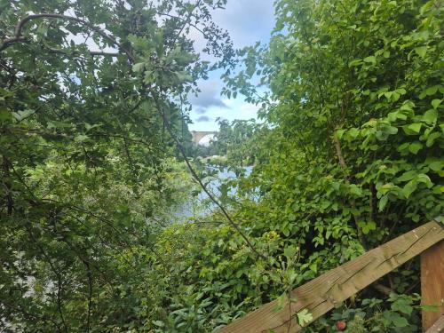 Flat on the Wear in Washington