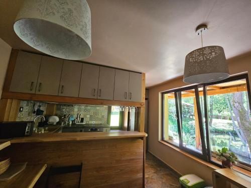 Konyha, Parcul Manga in Vulcana De Sus