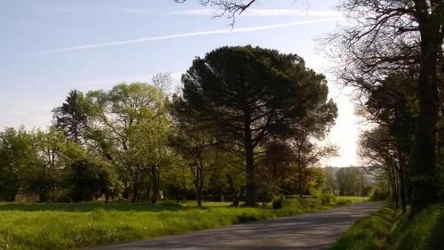 Roquepoix, escale au vert pour sillonner le Gers gîte à louer Arcamont