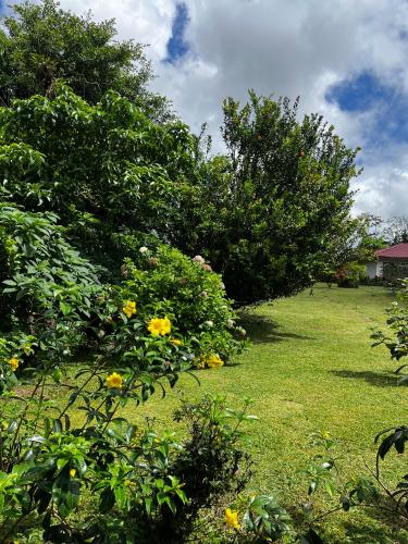 Villa con las mejores vistas al volcán Arenal para 4 huéspedes, Fortuna (Foto 10)