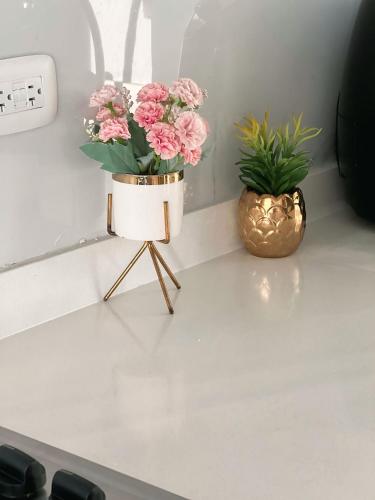 Comodidad y excelente ubicación