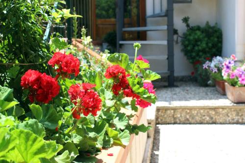 Raggio di Sole Bed & Breakfast