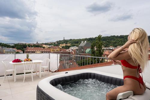 Bohemian Sky Penthouse, Prague (photo 4)