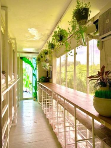 The Hide Hostel Canggu - Adult Only