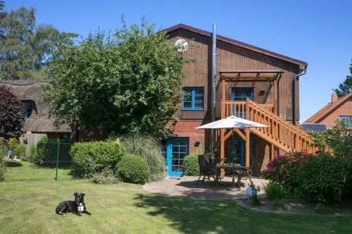 Pferdeblick in Gelting, Deutschland