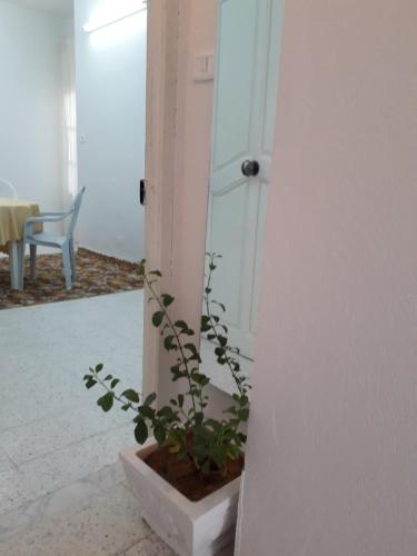 Darna, Sfax (photo 4)