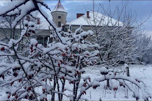 Kachalivka Manor in Chechelivskyi District