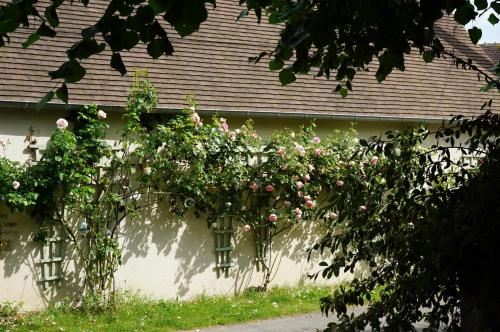 Maison au cœur du village Potier in Le Châtelet (Centre)